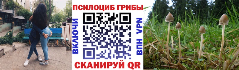 Галлюциногенные грибы прущие грибы  blacksprut   Липецк 